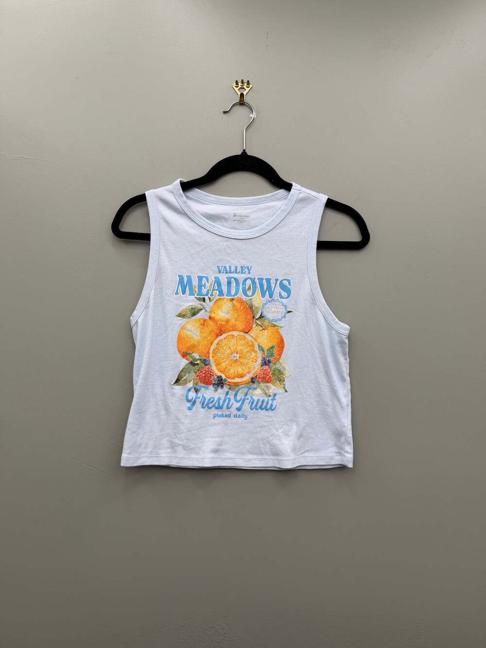 Valley Meadows Fresh Fruit Orange Graphic Tank Top Blue Crop L 12-14